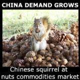 china commodities